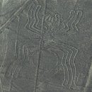 (주)나스카 이미지