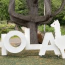 올라알파카 카페 이미지