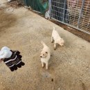 상구농장 이미지