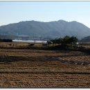 지석리 지석묘 이미지