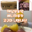 베니하루카 꿀고구마 내돈내산 후기 (예림마켓)