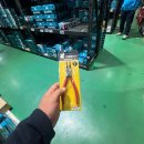 두일정비 이미지