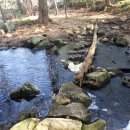 Appalachian Trail 제 25일: D-1 이미지