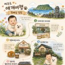 제주도 12개월 아기와 강아지 애개여행 1일차: 마미포유 수제 이유식 유아식 구매 후기