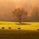 물처럼 바람처럼 이미지