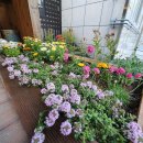 자산동103 이미지