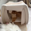 뭉뭉이네 | 고양이 숨숨집 스크래쳐 놀이공간 올인원 냥피스텔 스윗플래닛 사용후기