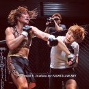 대풍권투체육관 이미지