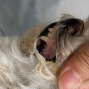 마곡M동물의료센터 이미지