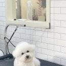 도기살롱 이미지