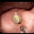 서울편한내과의원 이미지