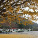 칠북초등학교 이미지