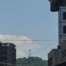 난 자유로워 더 자유롭게 날아볼게