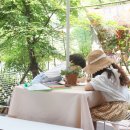 달콤키친 이미지