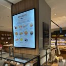 스퀘어독스 롯데남악점 | 베비에르 롯데백화점 전주점 빵 포장 후기 (feat. 스타벅스 전주호성DT점)