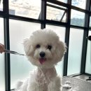 루이앤코코 이미지