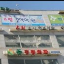 신쇼팽음악학원