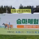 마루공원 이미지