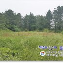 하예동-8 이미지