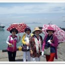 금빛행복나라 이미지