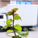 서대문커피공장 이미지