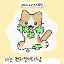 고야미 이미지