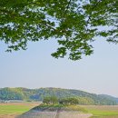 도산서원길(도산면) | 안동여행코스, 도산서원 (주차요금, 포토존)