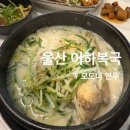 울산 울주군 구영리 맛집 어하복국 복계탕 먹은 후기