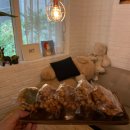 다온도서관 | 창곡동 커피 맛집 분위기 좋은 다온커피