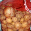 고딩.중딩. 두놈 시험기간..난 몸살난다 이미지