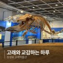 울산 장생포 고래박물관 | 가족 여행 추천 체험형 박물관