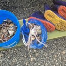 오드리하우스 | 고흥 우도 일몰이 아름다운 갯벌체험, 낚시 가능한 펜션 오드리하우스 내돈내산 숙박 후기