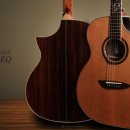 포크기타 (중급) 이미지