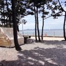 여울소리 오토캠핑장 | 태안 오토 캠핑장 '어은돌 캠핑장' 오션뷰 제대로 즐기고 온 힐링 캠핑후기 (애견동반 가능)