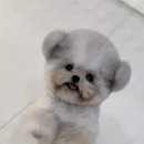 멈미스