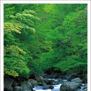 계곡풍경 이미지