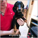 골든골프타운 이미지