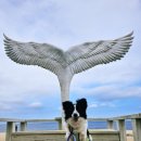 영팔이펜션3 | [24.03.24~26] 나 강원도에 2박3일 놀러 갔다왔다 1