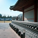 다오농수산