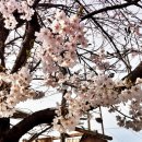 벌등공원 이미지