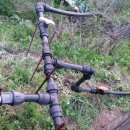 관수농장 이미지