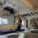 이구아나 | 신림 폴댄스 고급 : 이구아나스플릿 프론트 사이드 (유연성+힘)