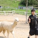 싱글멍글 이미지