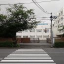 헤테로토피아