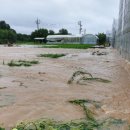 만봉농장 이미지