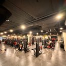 퍼센트짐 우산점 이미지