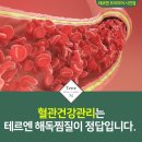 테르엔 이미지