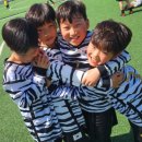 빅토리태권도 이미지