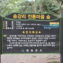 목계숲 2 이미지