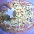 올리브스파피 이미지